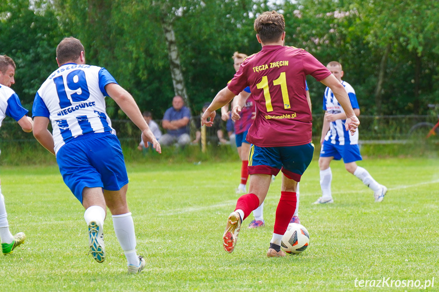 Tęcza Zręcin - Wisłoka Niegłowice 6-1 