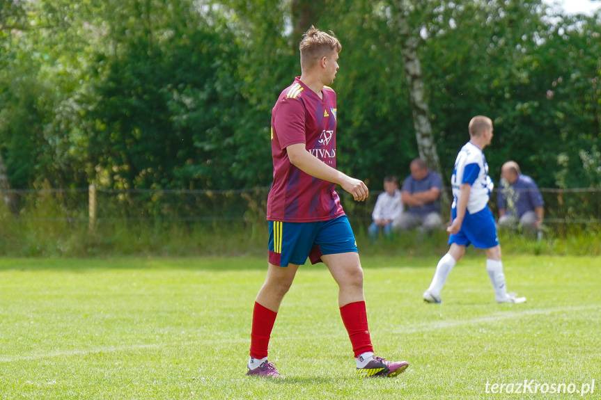 Tęcza Zręcin - Wisłoka Niegłowice 6-1 