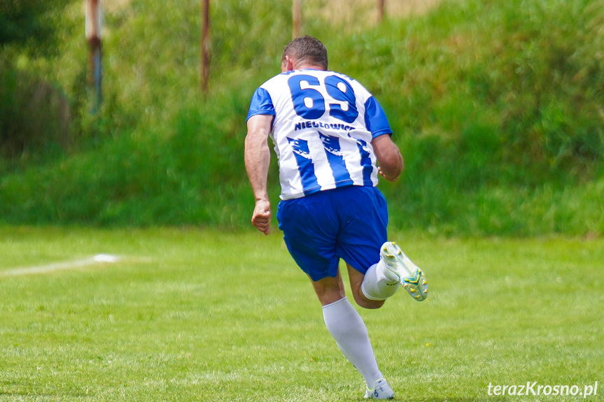 Tęcza Zręcin - Wisłoka Niegłowice 6-1 