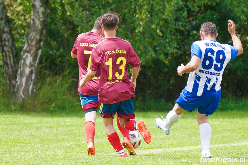 Tęcza Zręcin - Wisłoka Niegłowice 6-1 