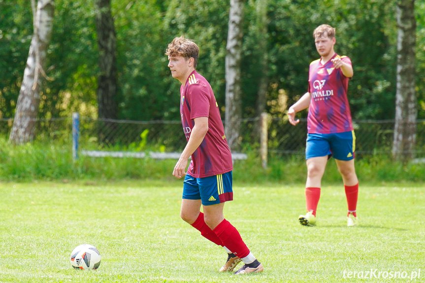 Tęcza Zręcin - Wisłoka Niegłowice 6-1 