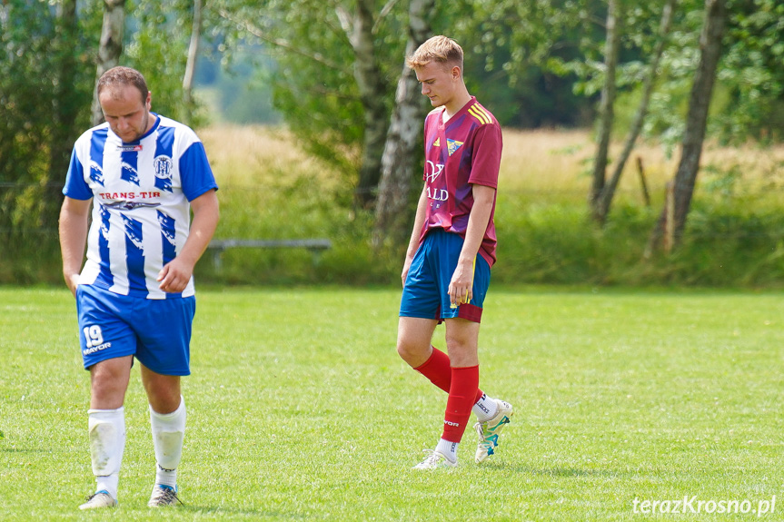 Tęcza Zręcin - Wisłoka Niegłowice 6-1 