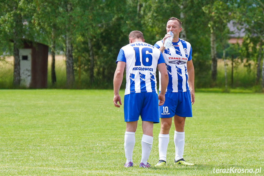 Tęcza Zręcin - Wisłoka Niegłowice 6-1 