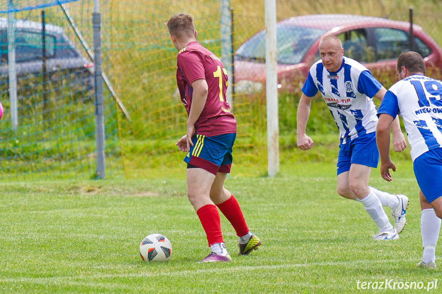 Tęcza Zręcin - Wisłoka Niegłowice 6-1 