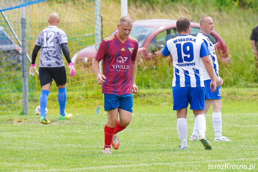 Tęcza Zręcin - Wisłoka Niegłowice 6-1 