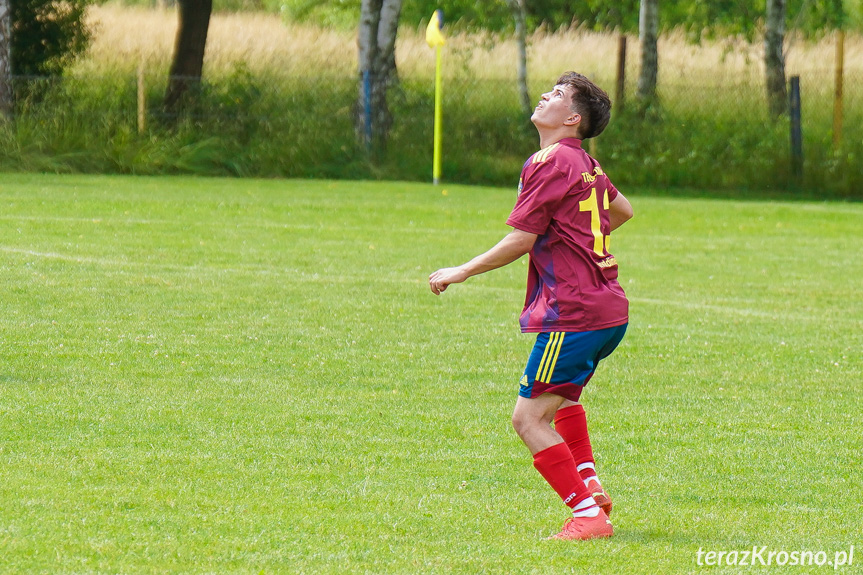 Tęcza Zręcin - Wisłoka Niegłowice 6-1 