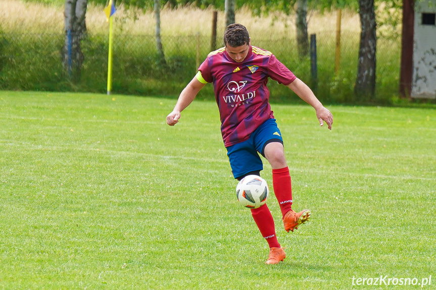 Tęcza Zręcin - Wisłoka Niegłowice 6-1 