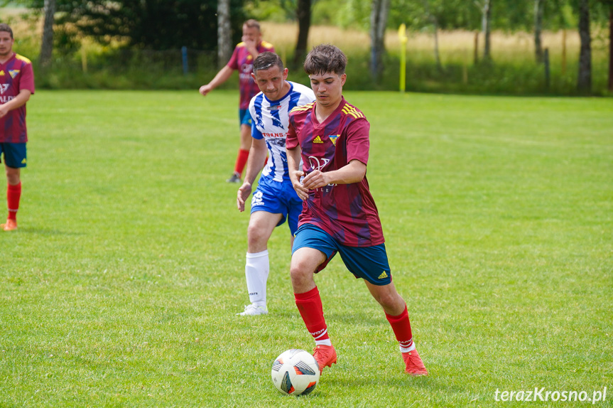 Tęcza Zręcin - Wisłoka Niegłowice 6-1 