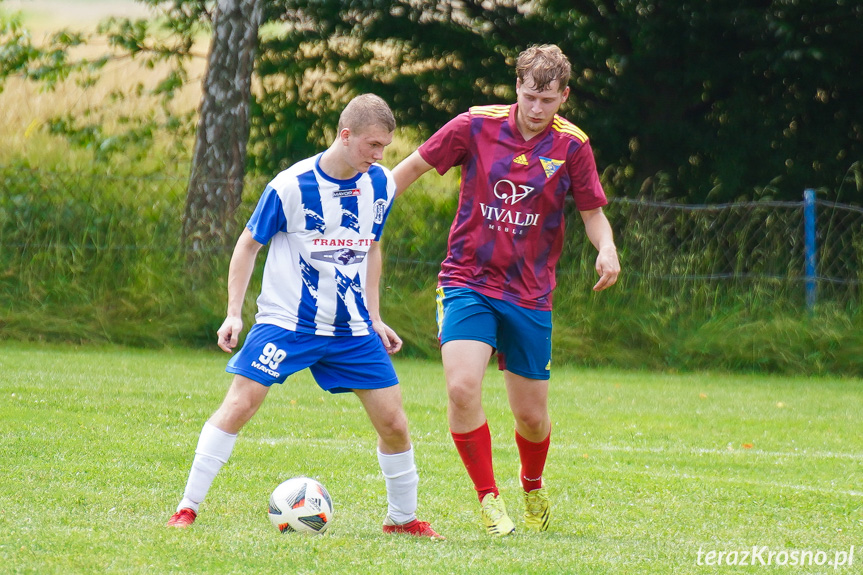 Tęcza Zręcin - Wisłoka Niegłowice 6-1 