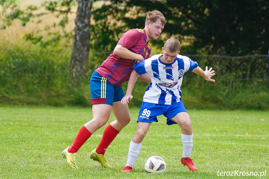 Tęcza Zręcin - Wisłoka Niegłowice 6-1 