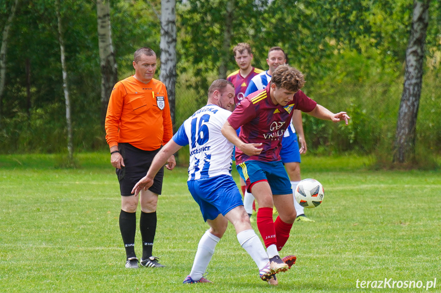 Tęcza Zręcin - Wisłoka Niegłowice 6-1 