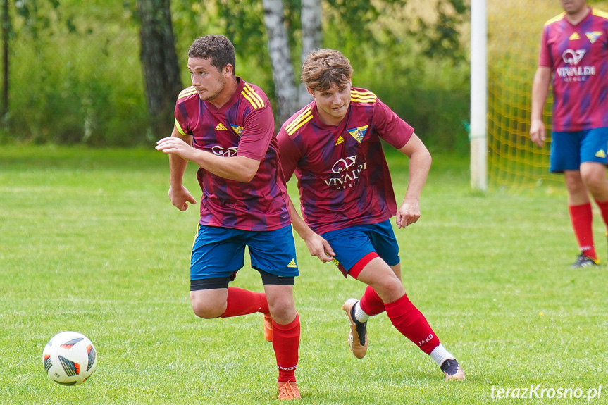 Tęcza Zręcin - Wisłoka Niegłowice 6-1 