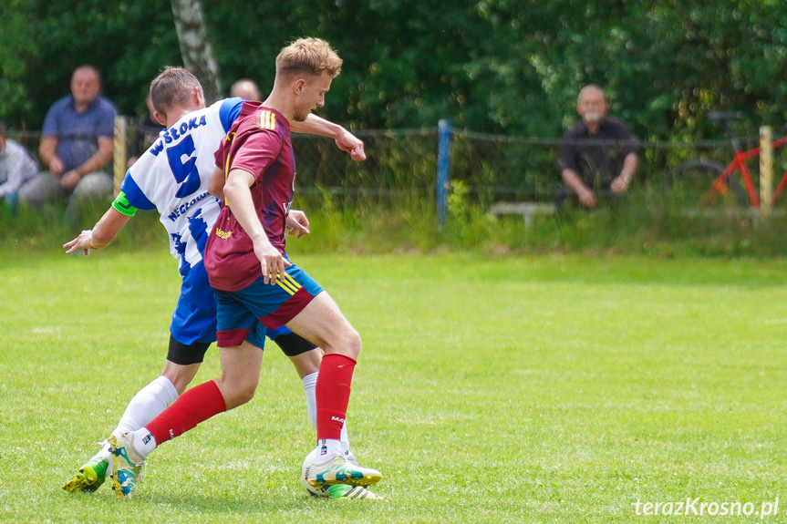 Tęcza Zręcin - Wisłoka Niegłowice 6-1 