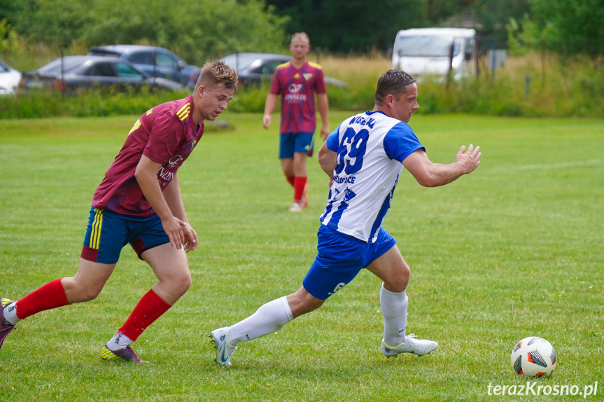 Tęcza Zręcin - Wisłoka Niegłowice 6-1 