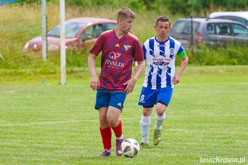 Tęcza Zręcin - Wisłoka Niegłowice 6-1 