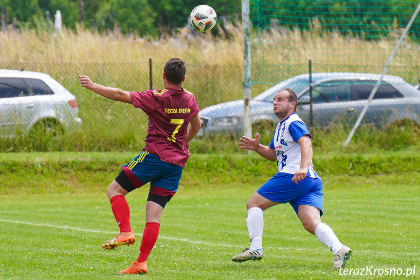 Tęcza Zręcin - Wisłoka Niegłowice 6-1 