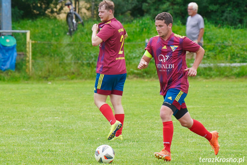 Tęcza Zręcin - Wisłoka Niegłowice 6-1 