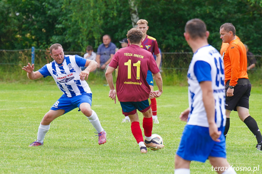 Tęcza Zręcin - Wisłoka Niegłowice 6-1 