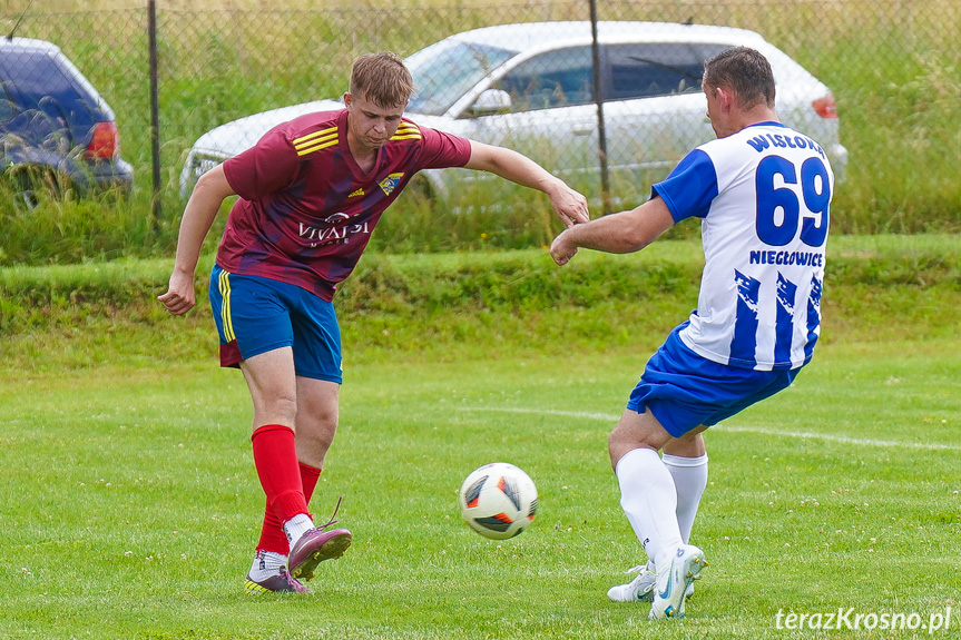 Tęcza Zręcin - Wisłoka Niegłowice 6-1 