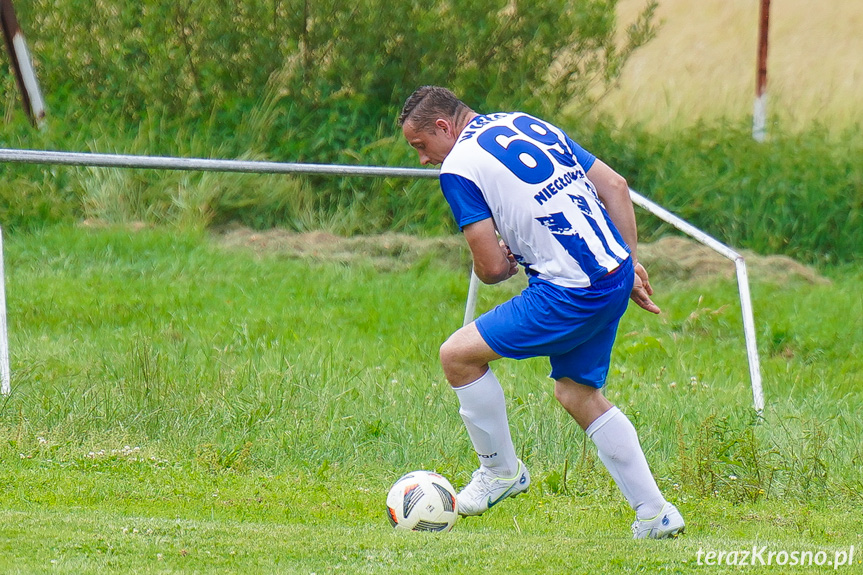 Tęcza Zręcin - Wisłoka Niegłowice 6-1 