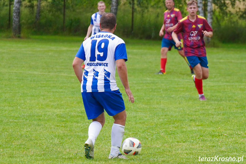 Tęcza Zręcin - Wisłoka Niegłowice 6-1 