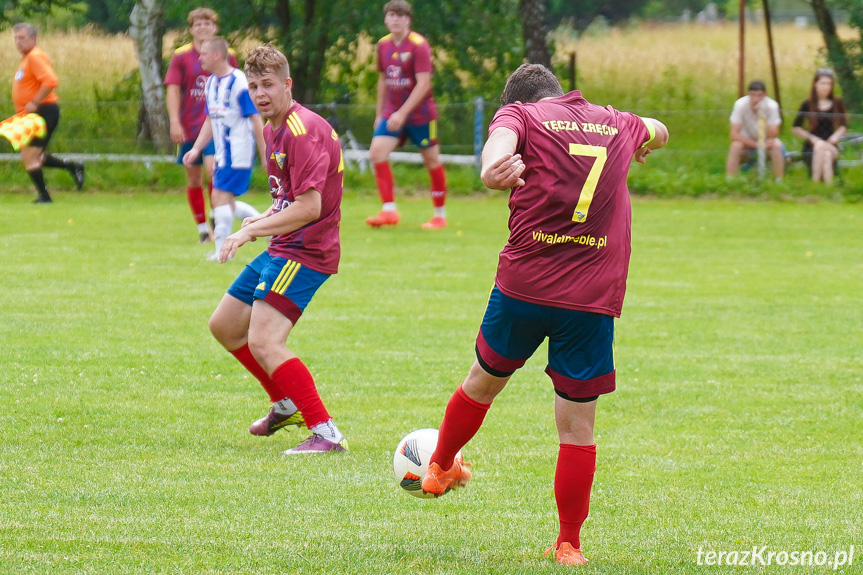 Tęcza Zręcin - Wisłoka Niegłowice 6-1 