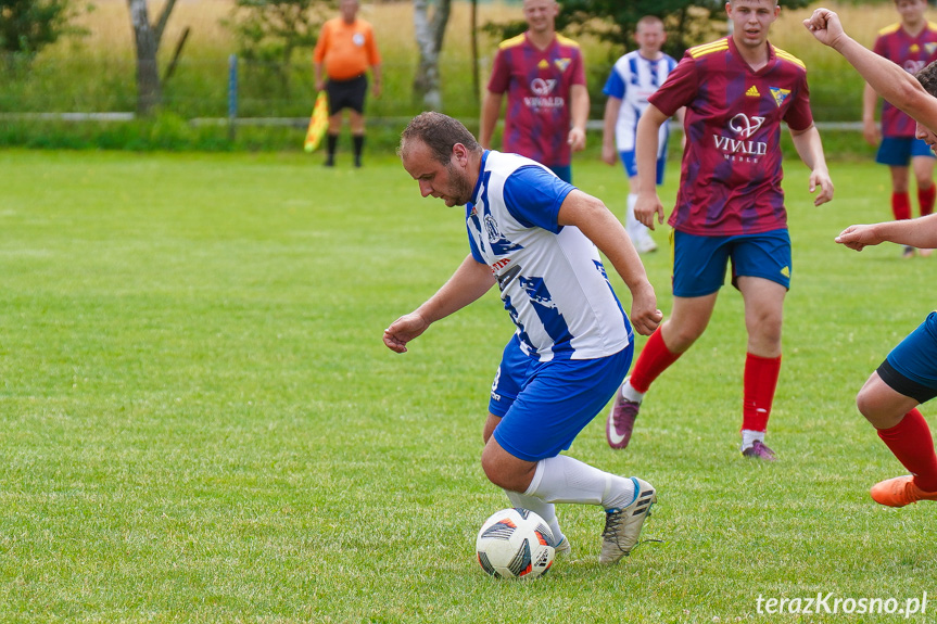 Tęcza Zręcin - Wisłoka Niegłowice 6-1 