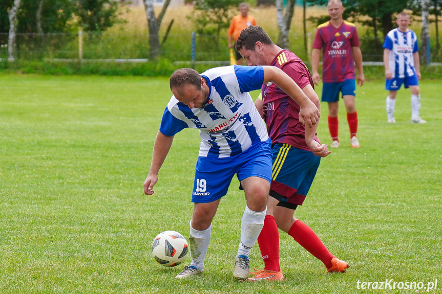 Tęcza Zręcin - Wisłoka Niegłowice 6-1 