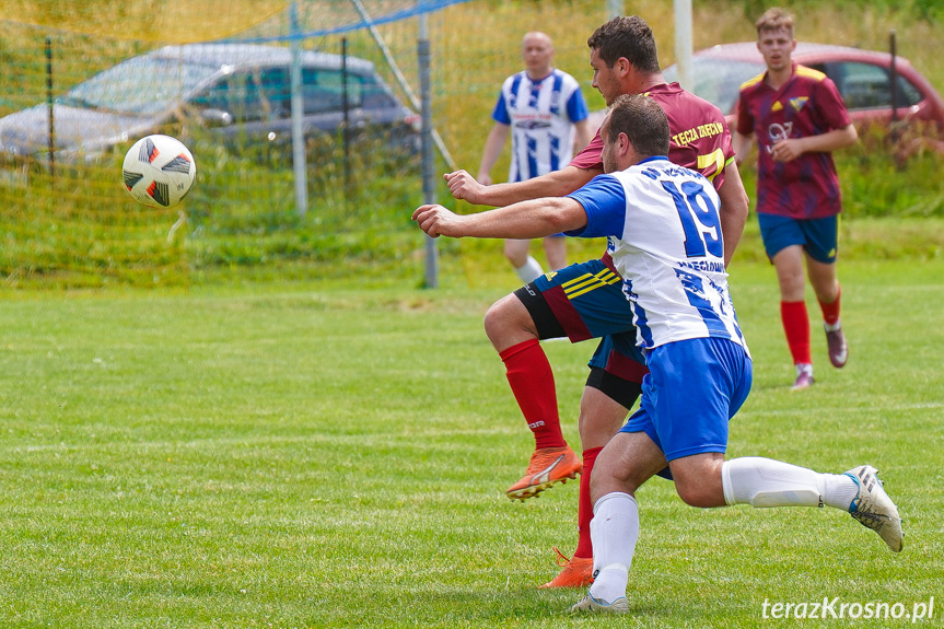 Tęcza Zręcin - Wisłoka Niegłowice 6-1 