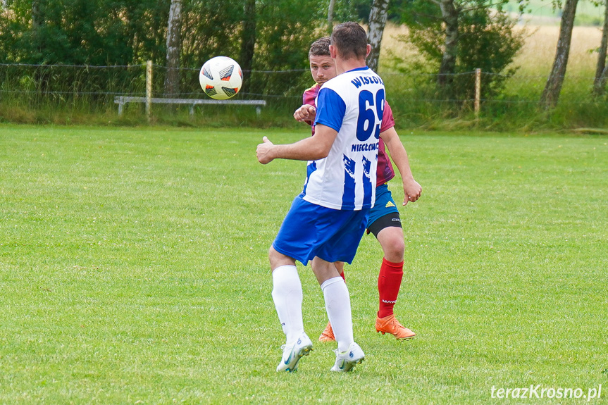 Tęcza Zręcin - Wisłoka Niegłowice 6-1 