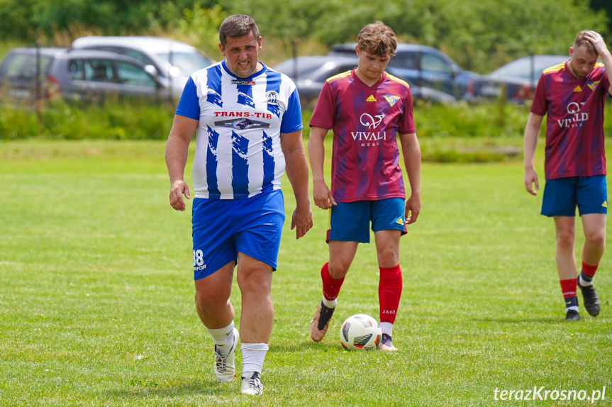 Tęcza Zręcin - Wisłoka Niegłowice 6-1 