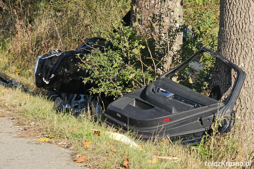 Tragiczny wypadek w Woli Wyżnej