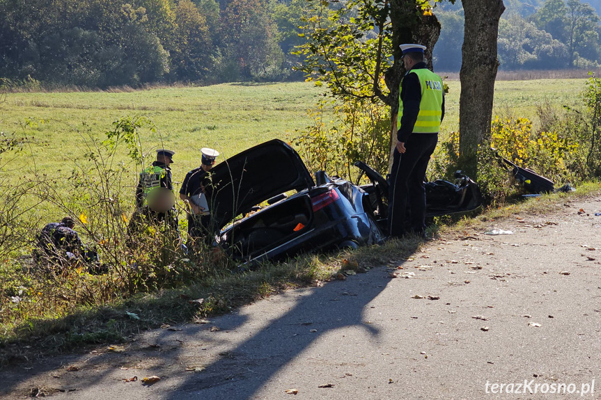 Tragiczny wypadek w Woli Wyżnej