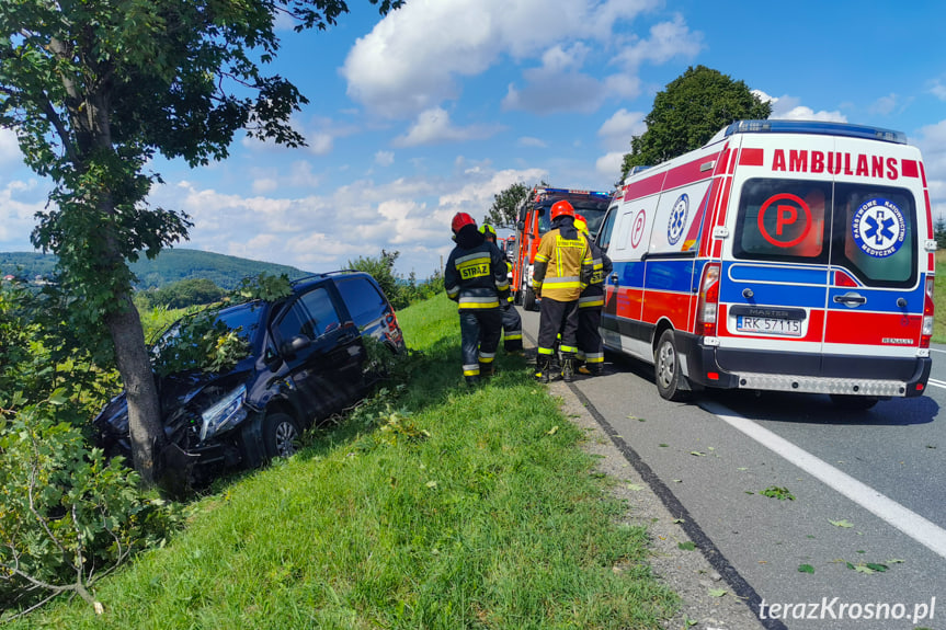 Uderzyła mercedesem w drzewo