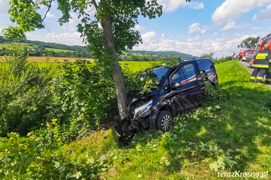 Uderzyła mercedesem w drzewo