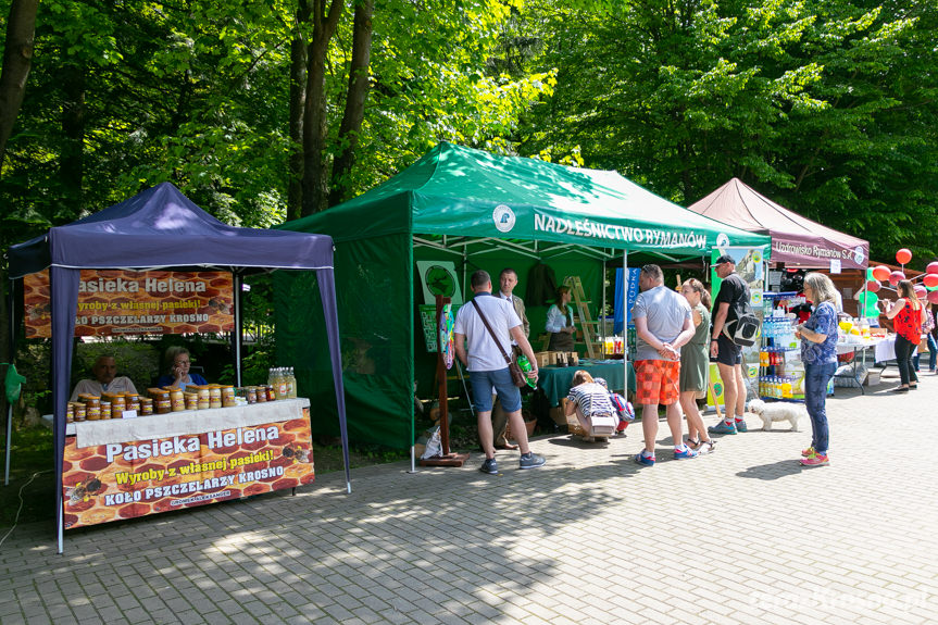 Uzdrowisko Rymanów - Podkarpacka Stolica Dzieci