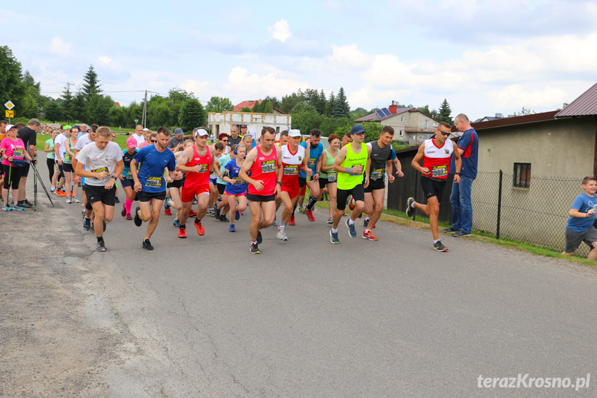 V Bieg i Marsz Nordic Walking o Puchar Sołectwa Żeglce