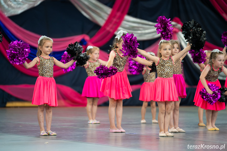 VI Gala Akademii Cheerleaderek Fragolin