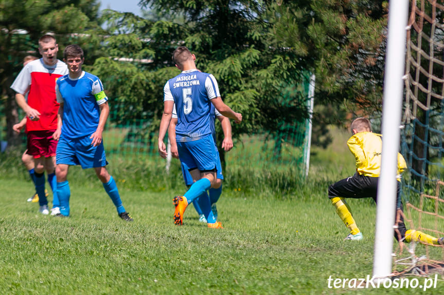 Victoria Dobieszyn - Jasiołka Świerzowa Polska 0:6