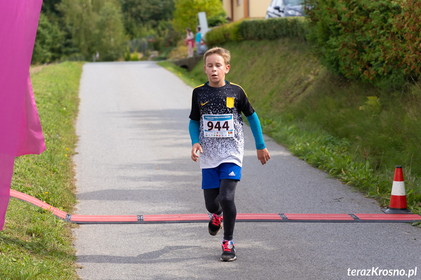 VII Korczyński Bieg i Nordic Walking "Do Prządek"