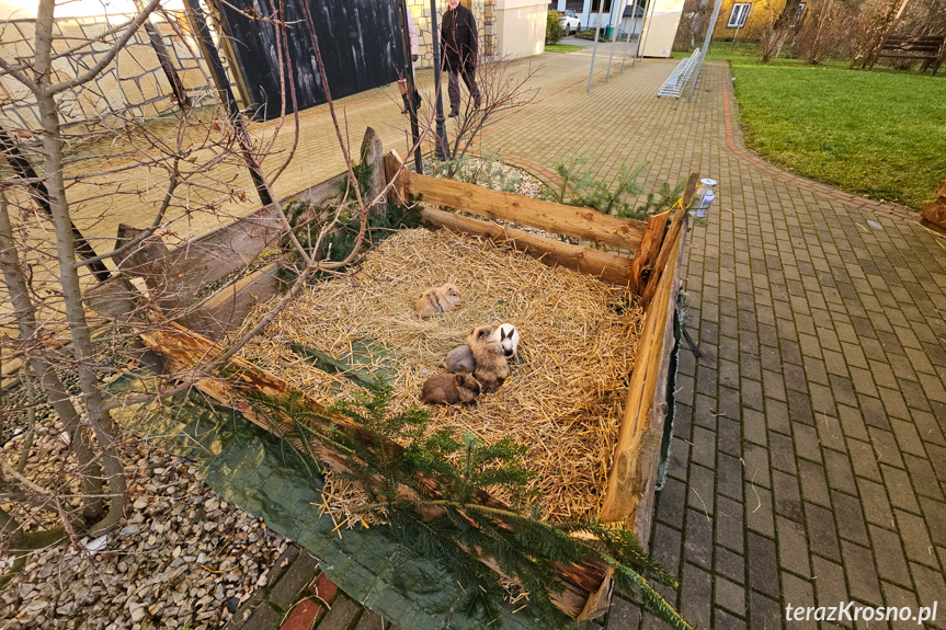 W Głowience stanęła żywa szopka