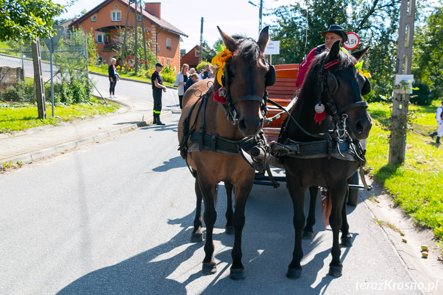 Wiele Kultur - Jedno Miejsce. Od Kłajpedy po Saloniki