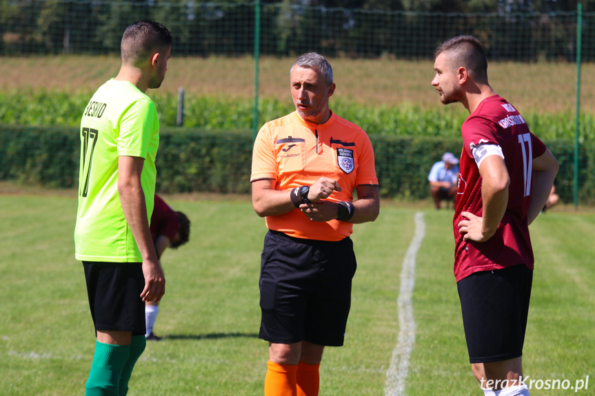 Wisłok Krościenko Wyżne - Beskid Posada Górna 0-3