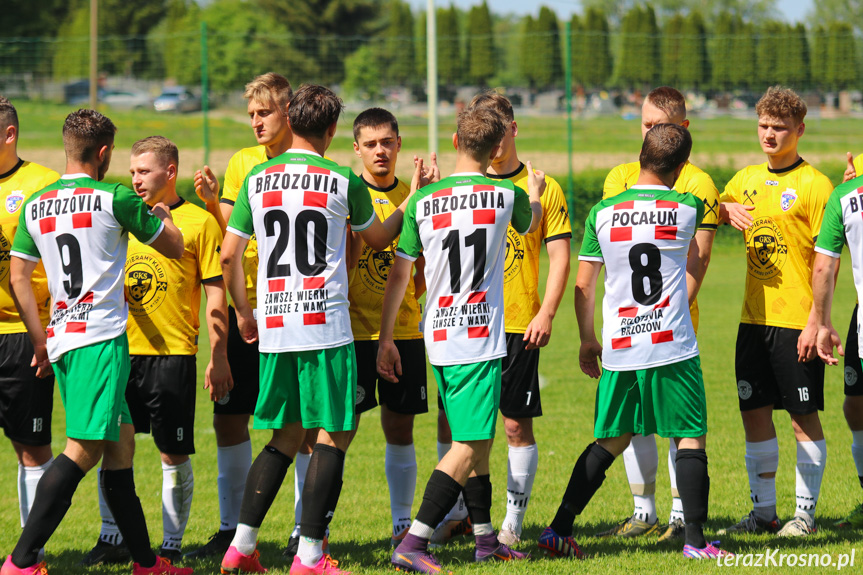 Wisłok Krościenko Wyżne - Brzozovia Brzozów 1:3