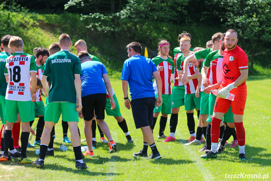 Wisłok Krościenko Wyżne - Brzozovia Brzozów 1:3