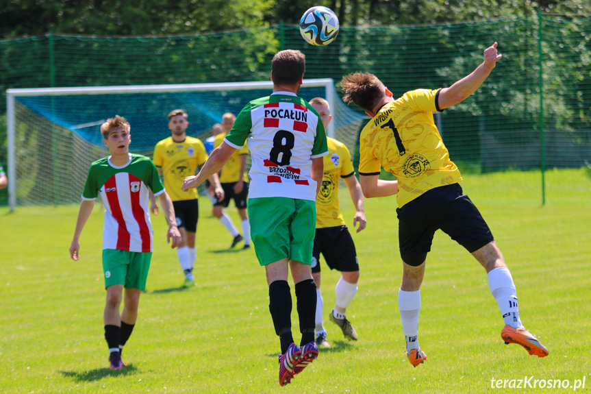 Wisłok Krościenko Wyżne - Brzozovia Brzozów 1:3