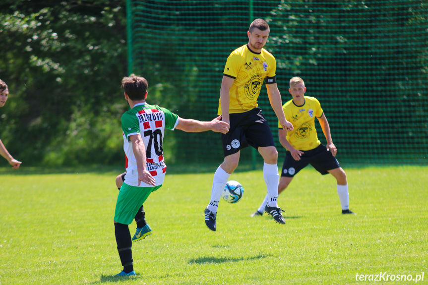 Wisłok Krościenko Wyżne - Brzozovia Brzozów 1:3