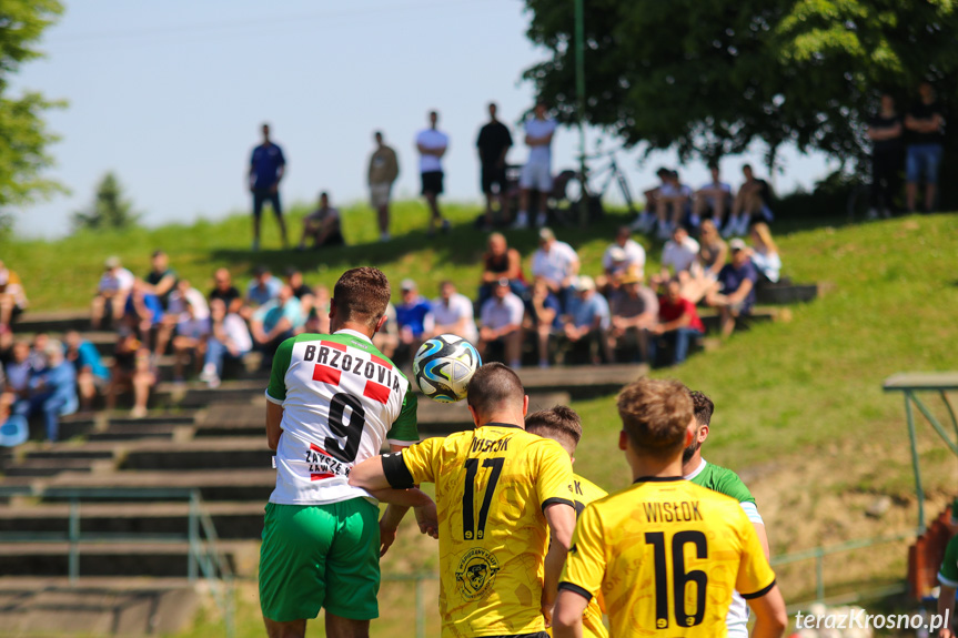 Wisłok Krościenko Wyżne - Brzozovia Brzozów 1:3