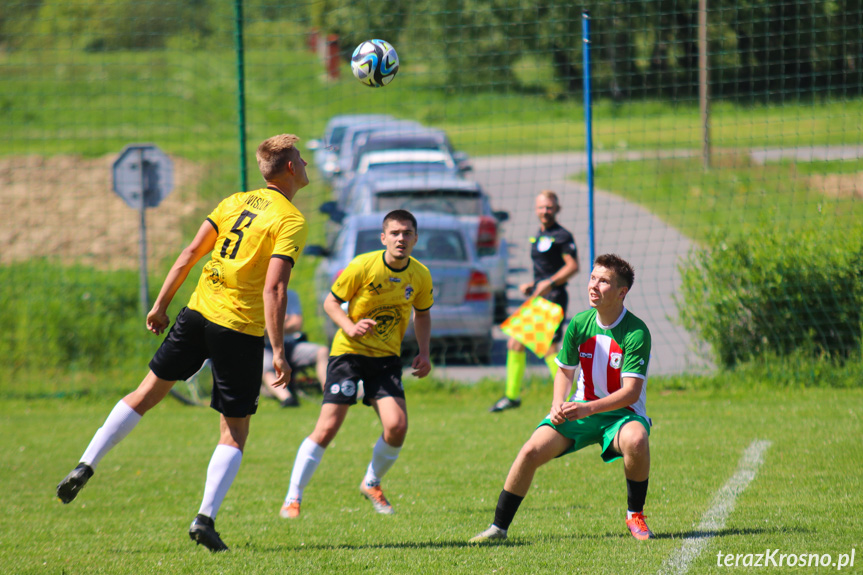 Wisłok Krościenko Wyżne - Brzozovia Brzozów 1:3