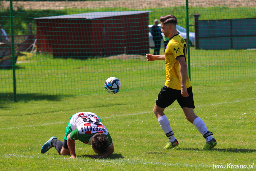 Wisłok Krościenko Wyżne - Brzozovia Brzozów 1:3